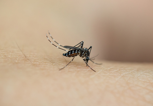 �����ͥ��η������x(ch��ng)