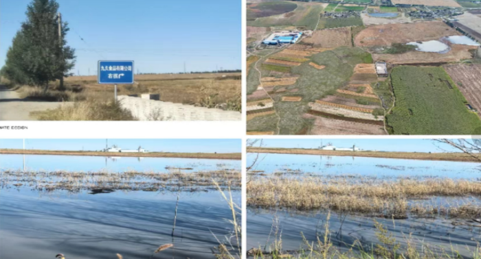 1759272258363337.png QQ_1759042380915.png