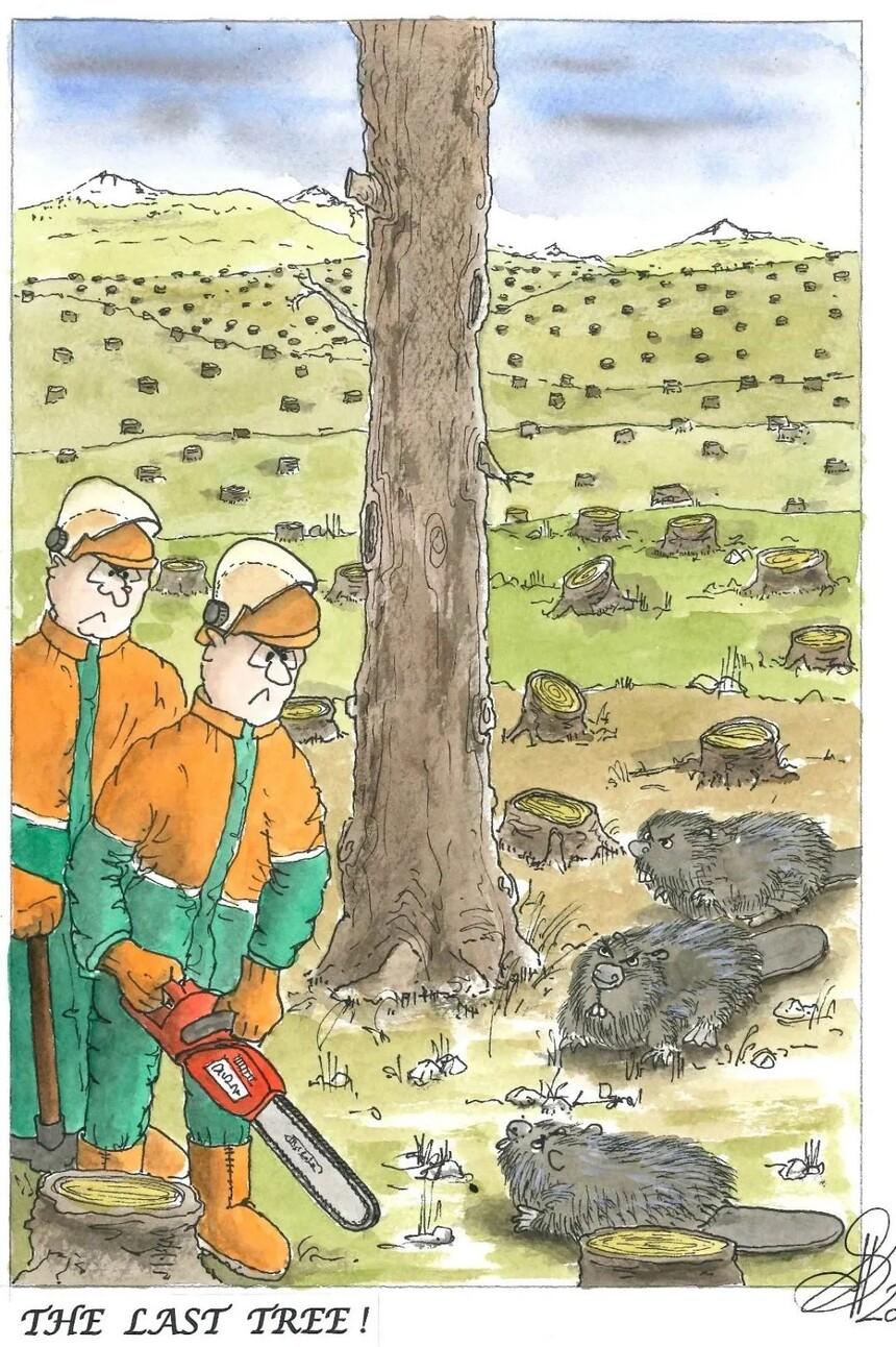 1718158450184700.jpg 1718158450184700.jpg