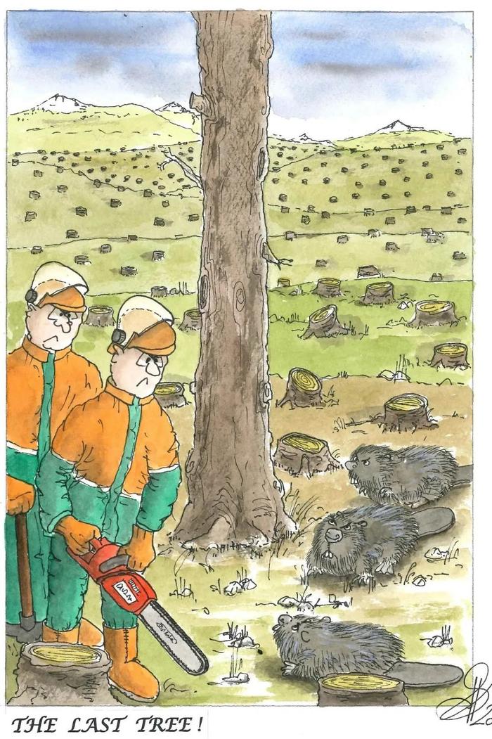 1718158485511790.jpg 1718158485511790.jpg