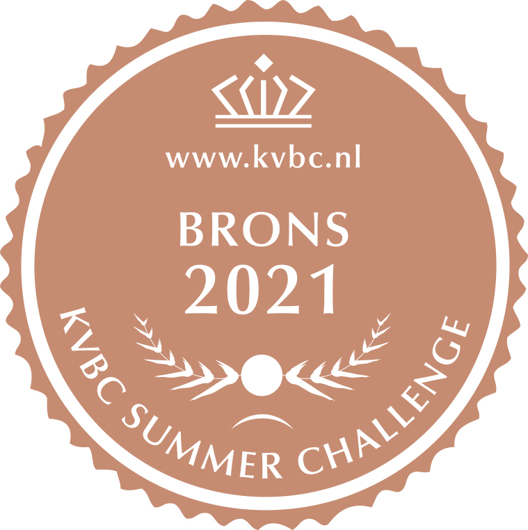 Bronze Award KVBC Summer Challenge 2021.jpg