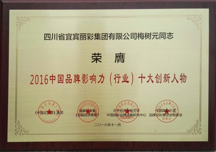 201611��÷��Ԫ2016�й�Ʒ��Ӱ��������ҵ��ʮ����������ƣ�.jpg