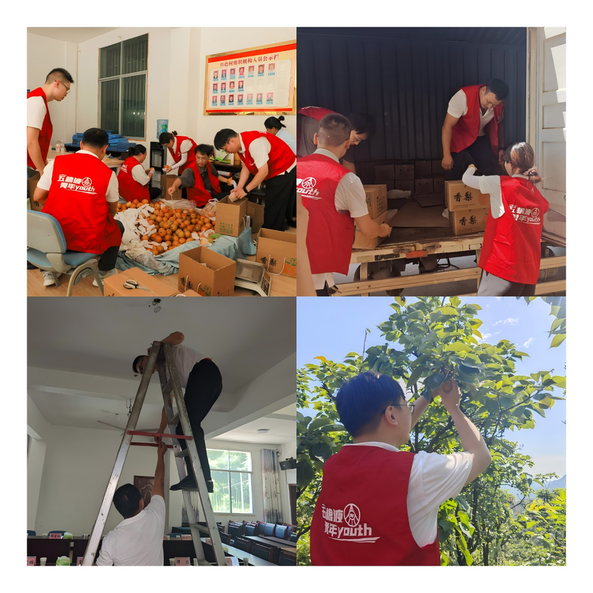 1761635303663355.png 团委.png