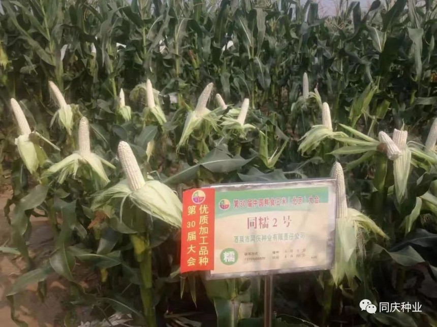 1657789801197925.jpg 001.jpg