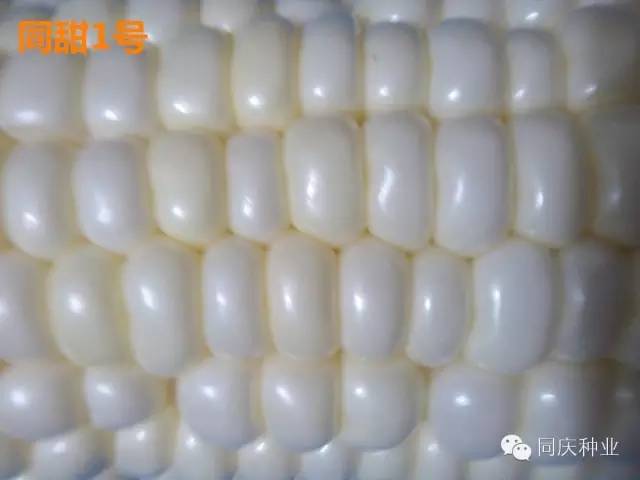 1657871589578696.jpg 021.jpg