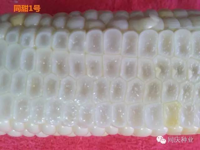 1657871599388773.jpg 022.jpg