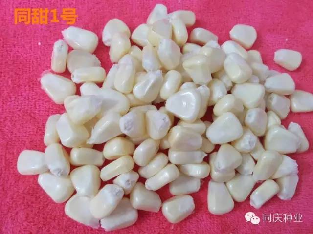 1657871608683184.jpg 023.jpg