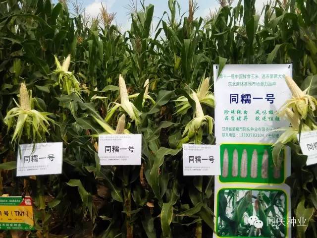 1657871758566098.jpg 030.jpg