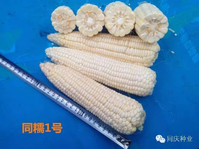 1657871784764373.jpg 032.jpg