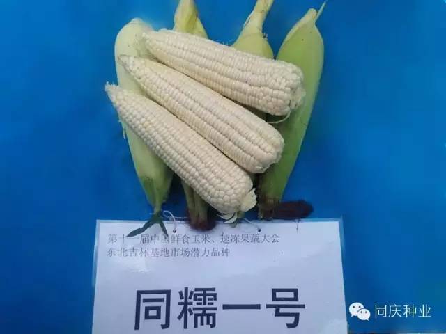 1657871796216718.jpg 033.jpg