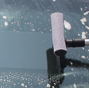Window Squeegee.jpg