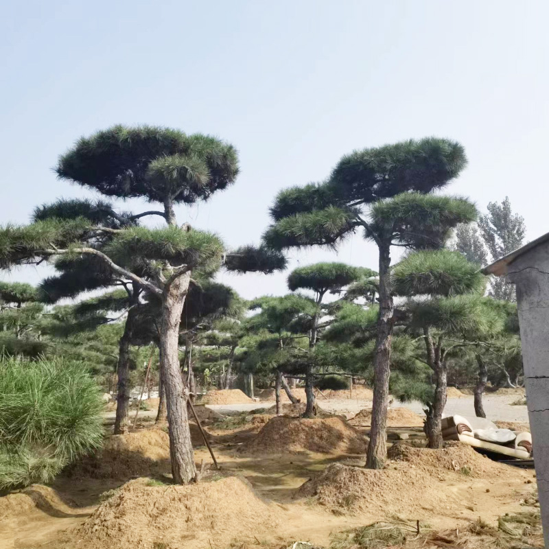 1658886105753361.jpg 微信圖片_202207261140326.jpg