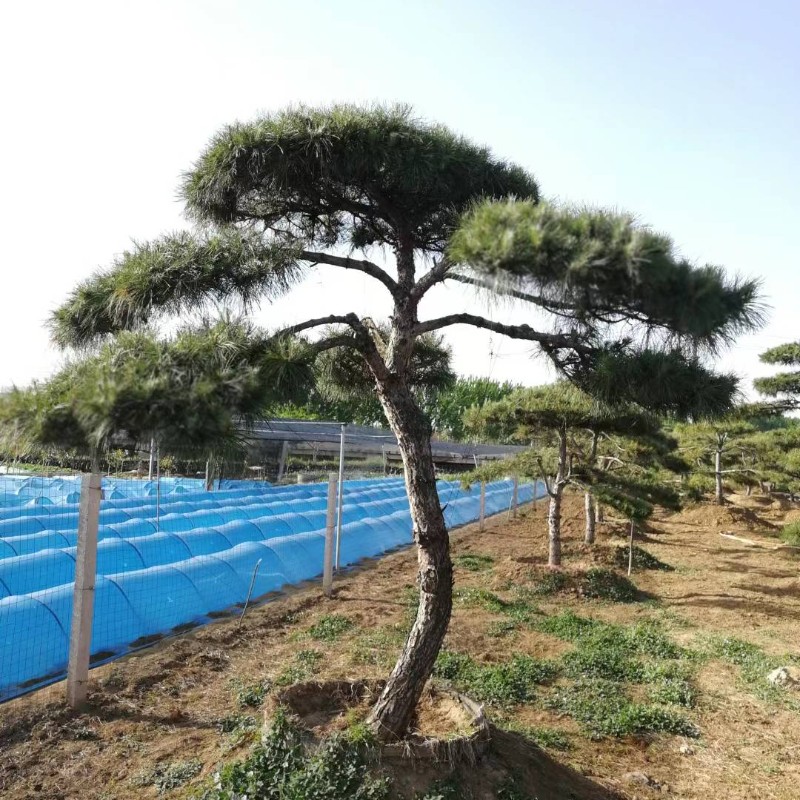 1658886400348345.jpg 微信圖片_2022072611403211.jpg