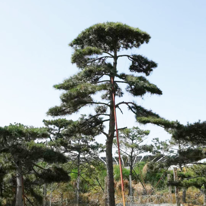 1658886473358208.jpg 微信圖片_2022072611403212.jpg