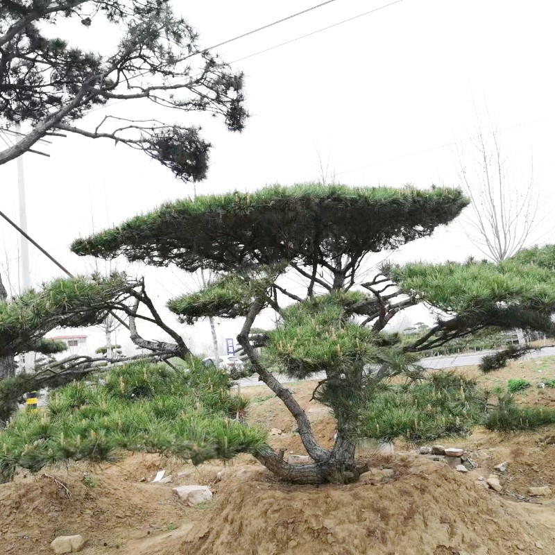 1658886625556361.jpg 微信圖片_2022072611403214.jpg