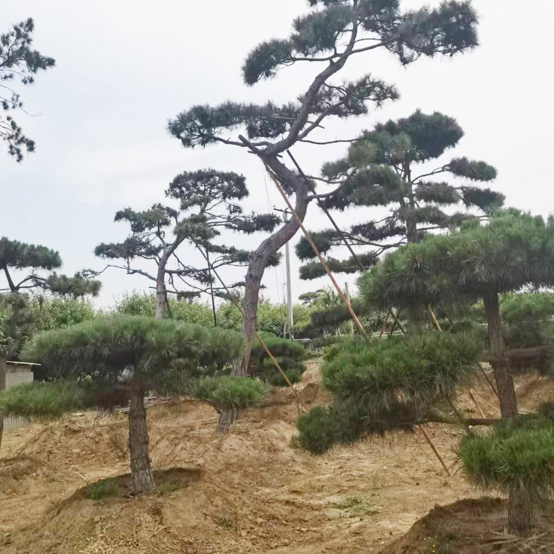 1658905397206602.jpg 微信圖片_202207271456564.jpg