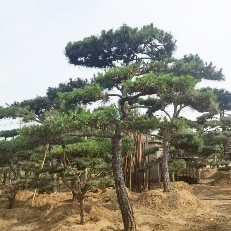 1658905757972957.jpg 微信圖片_202207271456566.jpg