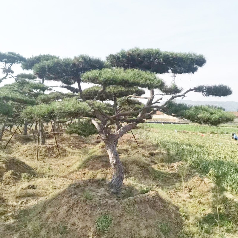 1658905866192595.jpg 微信圖片_202207271456567.jpg