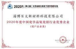 2020年度中國化學(xué)品氧化鋁行業(yè)優(yōu)秀企業(yè)