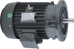 鑄鐵立式電機(jī)