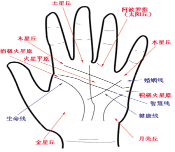 手相學(xué)