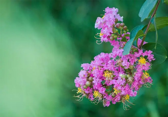 e���ӣ�����(w��)����