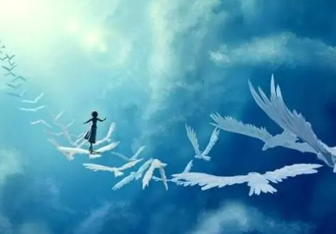 1709529144258272.png image.png