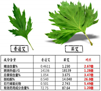 9604b7596a8b71f43b0c01f15985625f_640_wx_fmt=png&wxfrom=5&wx_lazy=1&wx_co=1.png
