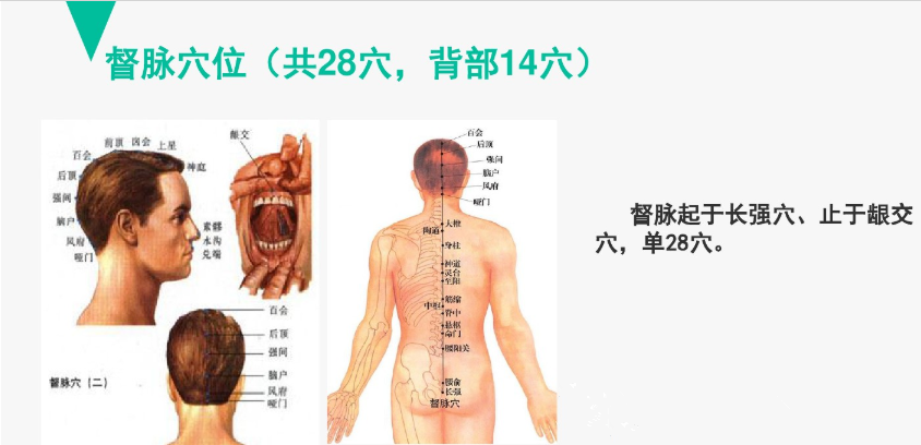 383a59bca8fafe3ec9c1085e8fbef635_640_wx_fmt=png&wxfrom=5&wx_lazy=1&wx_co=1.png