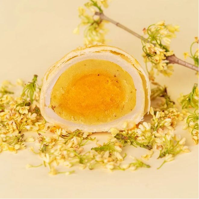 1660363342531164.png image.png