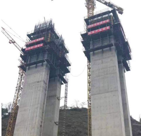 1697438199396766.jpg 1697438199396766.jpg