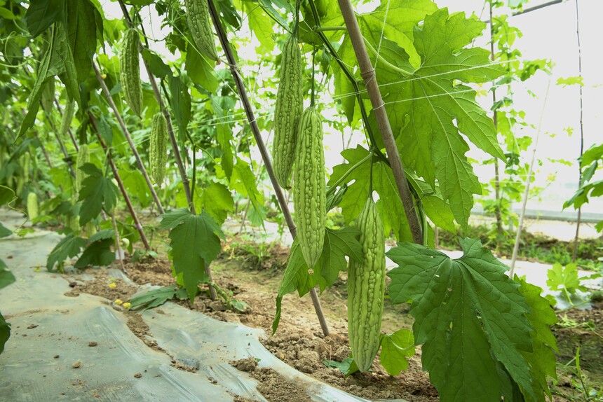 1678360731253429.jpg Cache_-5405c9c25dcee385..jpg