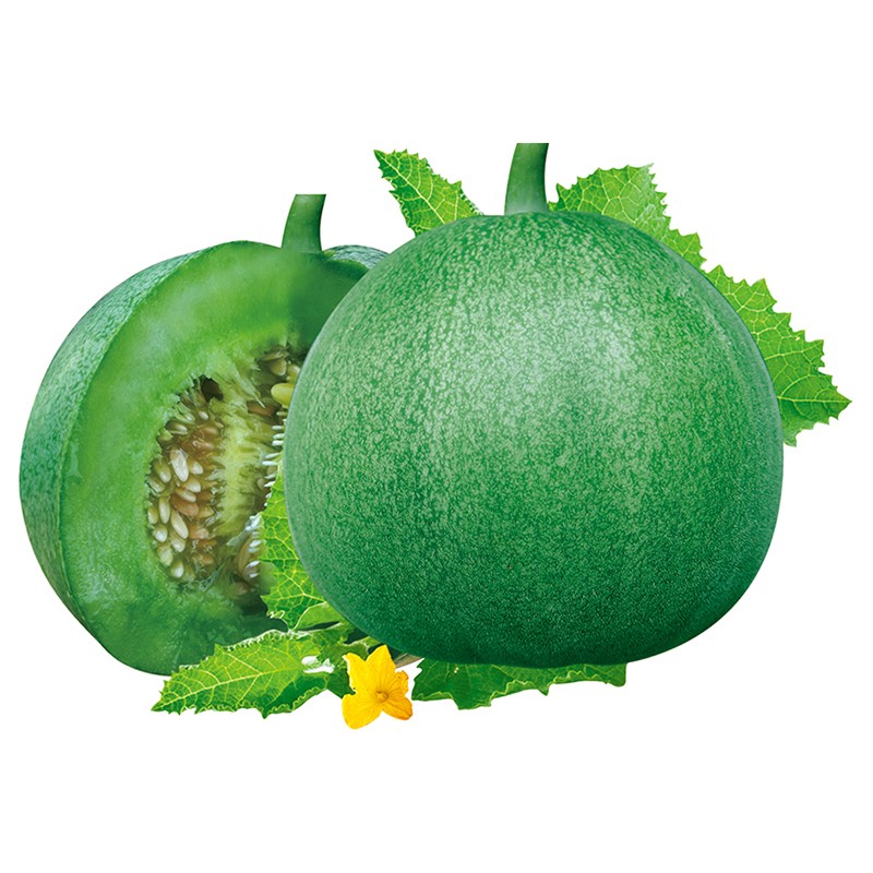 Yuguan No.1