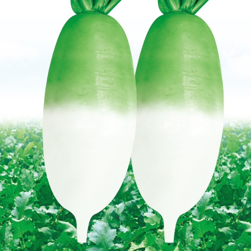 Green Fushi