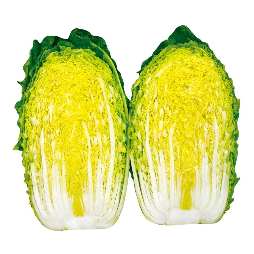 Jinbao 100