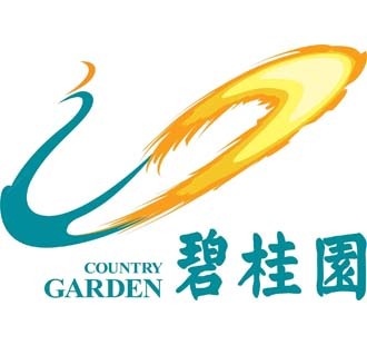 碧桂園合作案例