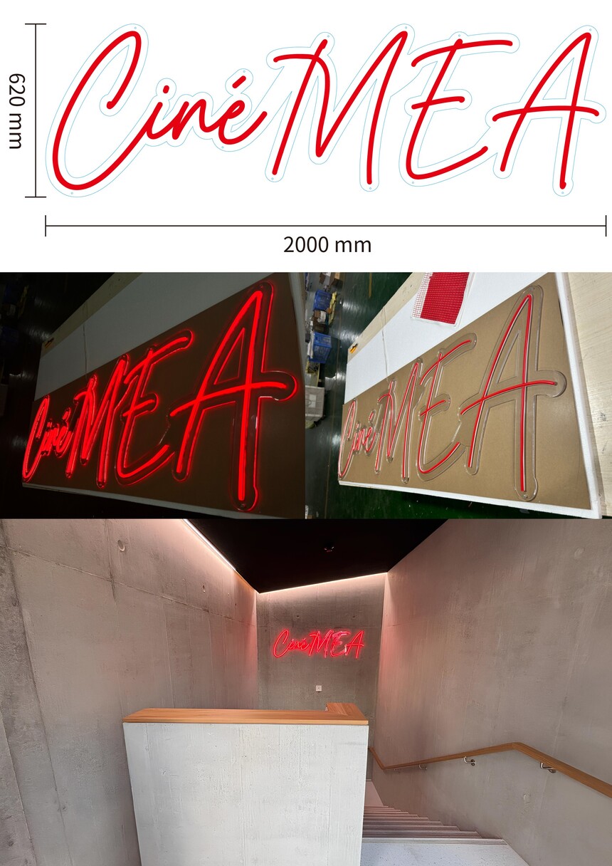 case3.jpg