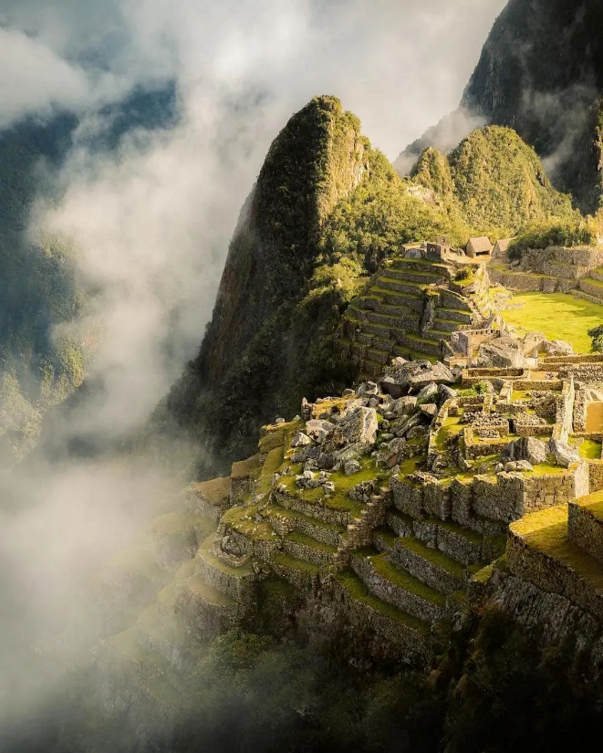 1731550857196733.png image.png