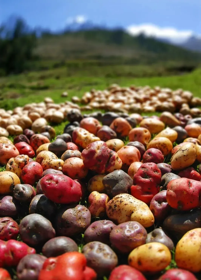 1731551004918908.png image.png