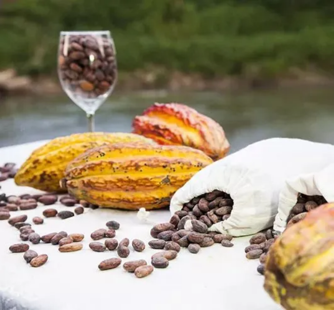 1731551022958386.png image.png