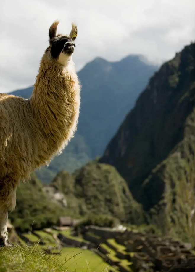 1731551042175545.png image.png