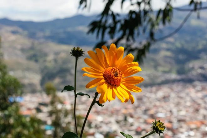 1731551171586286.png image.png