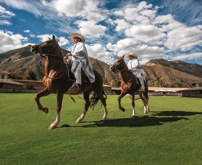 1731551261964564.png image.png