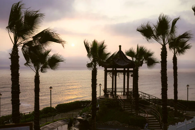 1731551275600509.png image.png