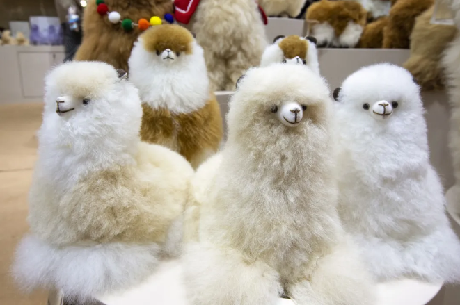 1731551349516576.png image.png