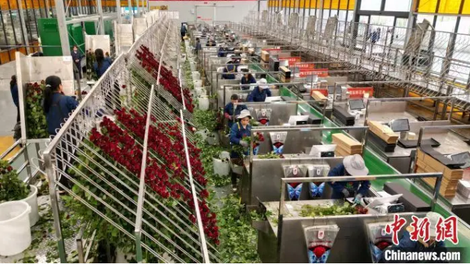 1732587254961854.png image.png