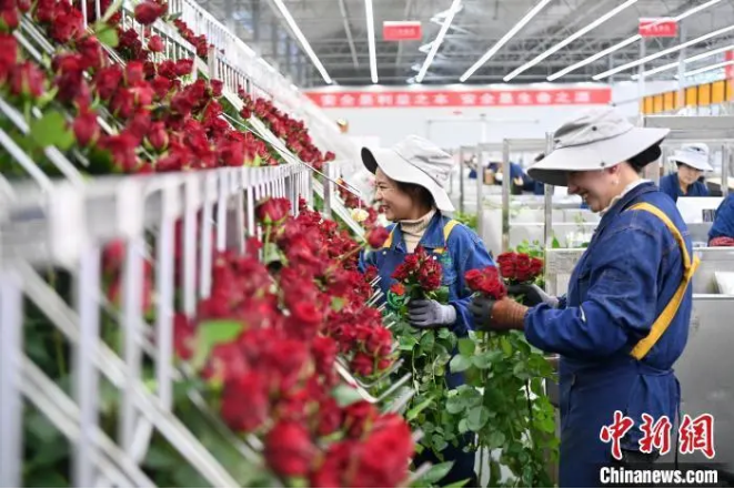 1732587287150473.png image.png