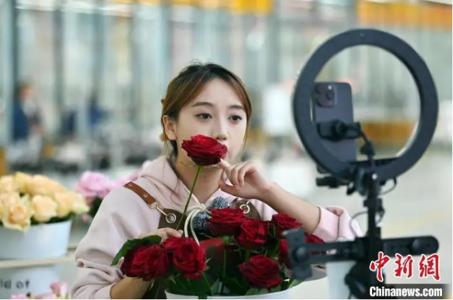 1732587305890411.png image.png