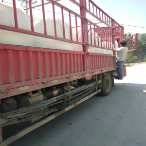 06.jpg