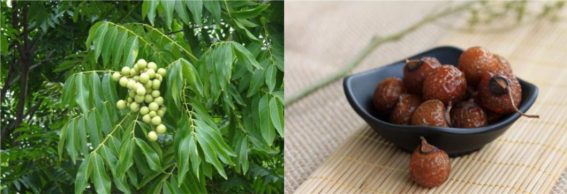 1663320958404904.png image.png